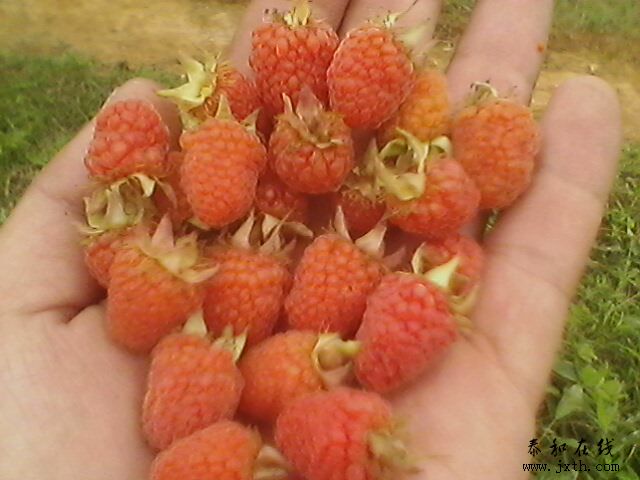 IMG0033A.jpg