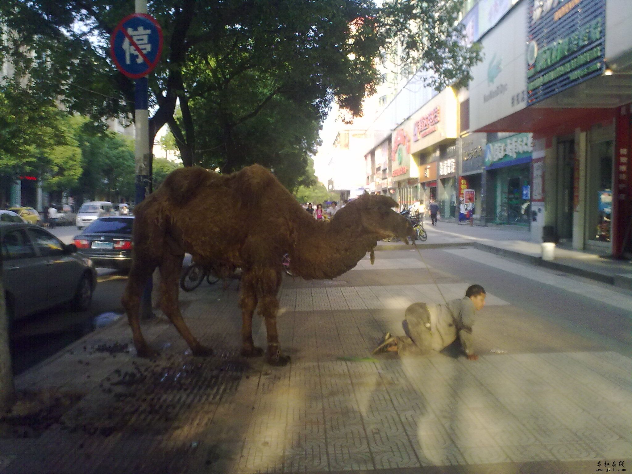 20110518260.jpg
