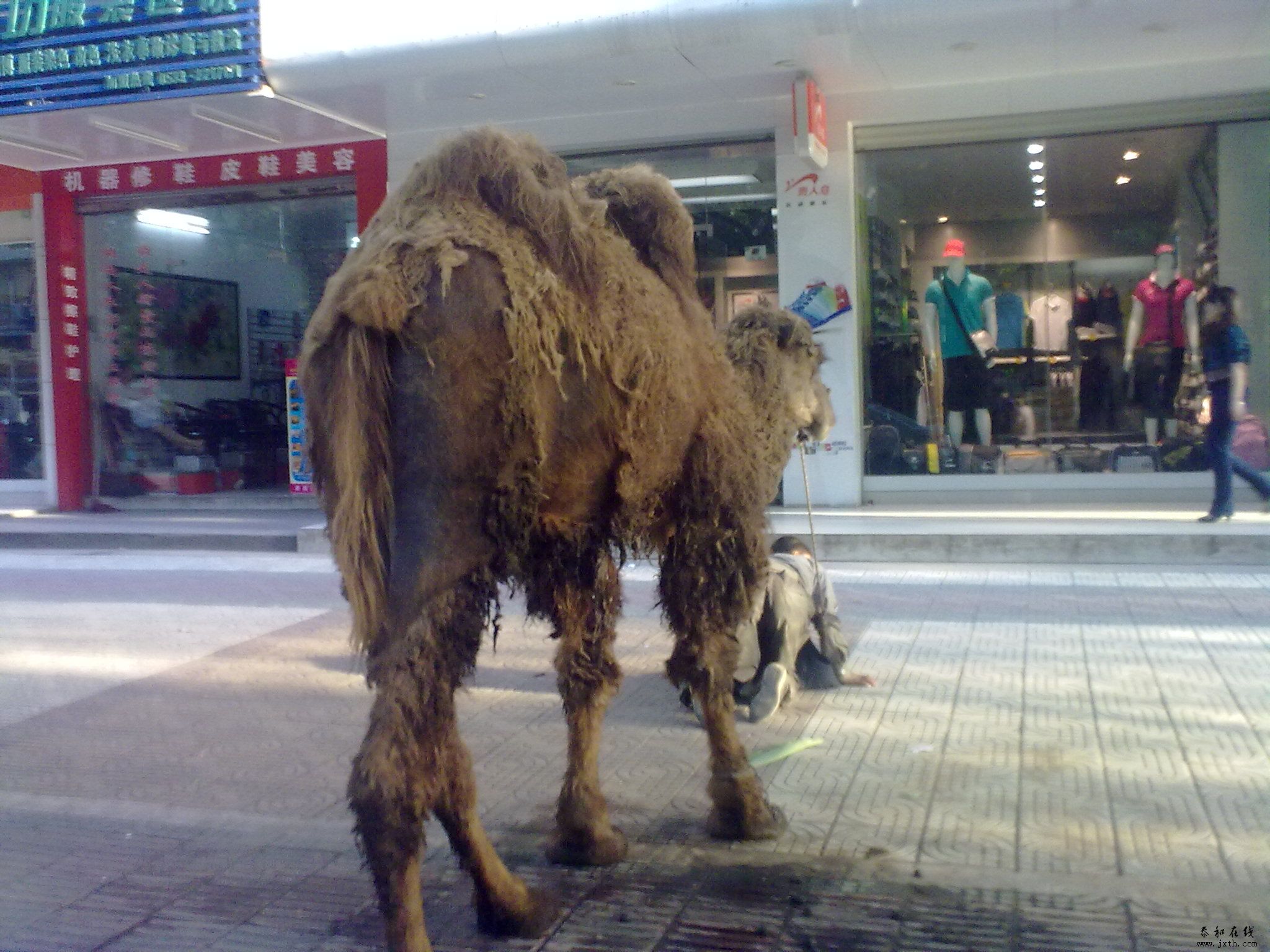 20110518262.jpg