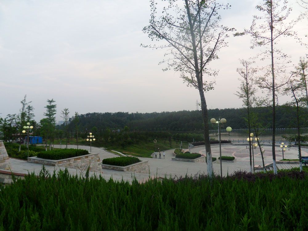 SDC12099.jpg