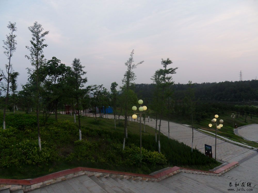 SDC12104.jpg
