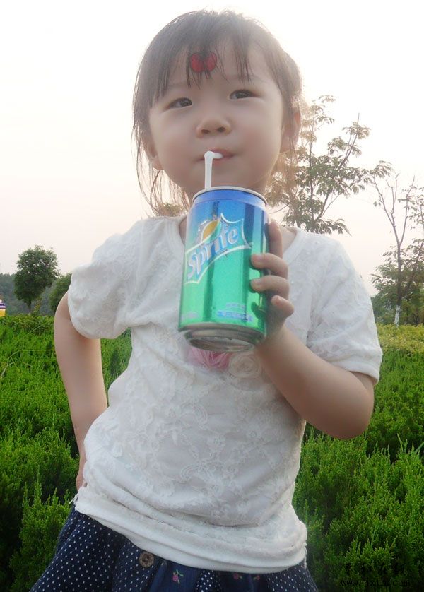 SDC12089.jpg