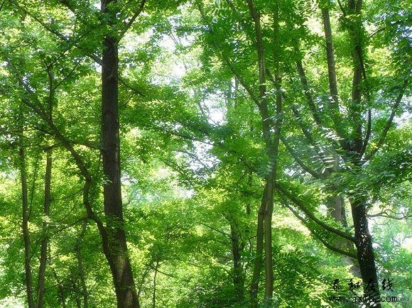 RIMG0781.jpg