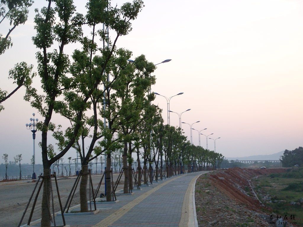 SNV10190.JPG
