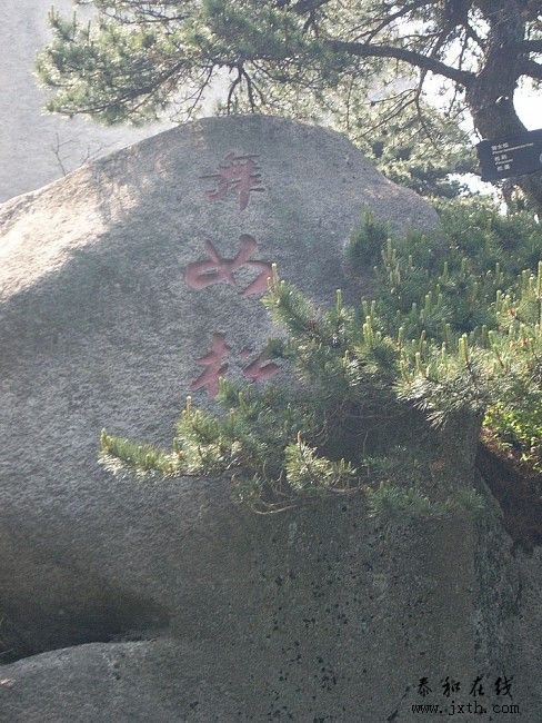 img139.jpg