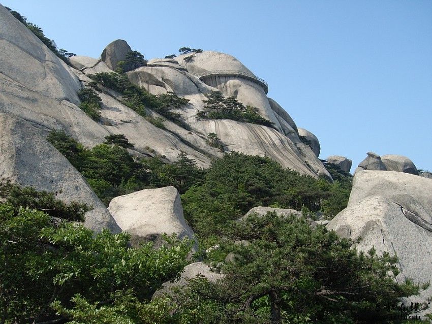 img180.jpg