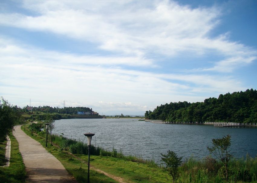 DSC01559.jpg