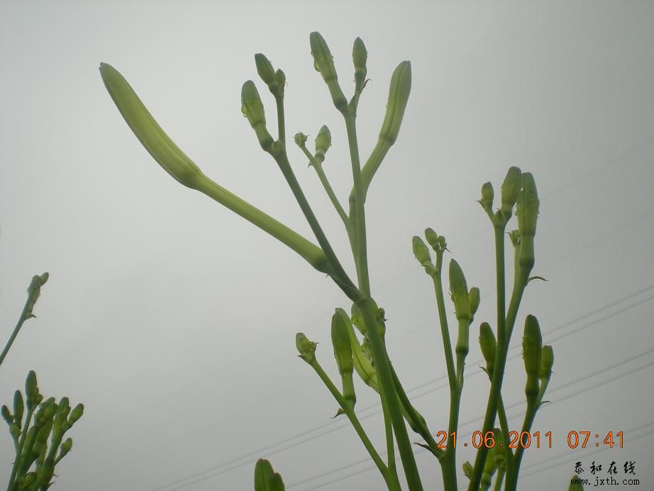 DSCN6033.JPG