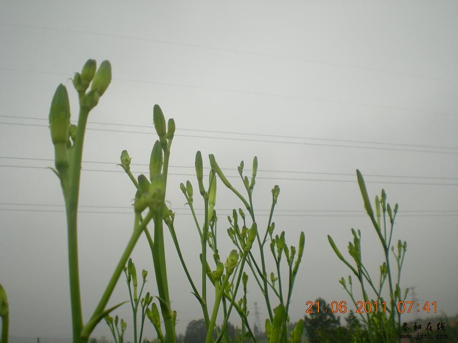 DSCN6032.JPG