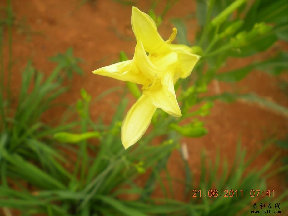 DSCN6035.JPG