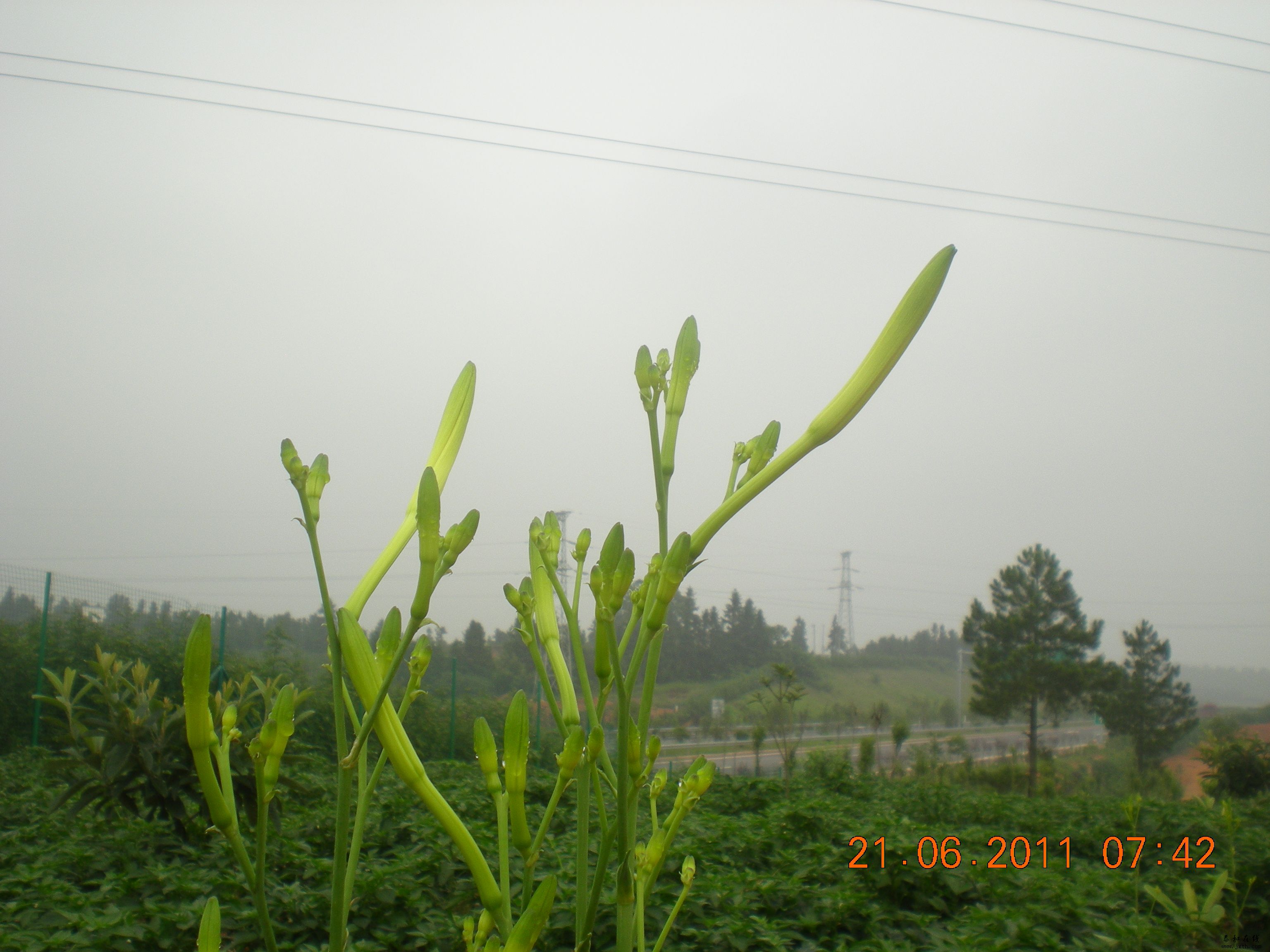 DSCN6040.JPG