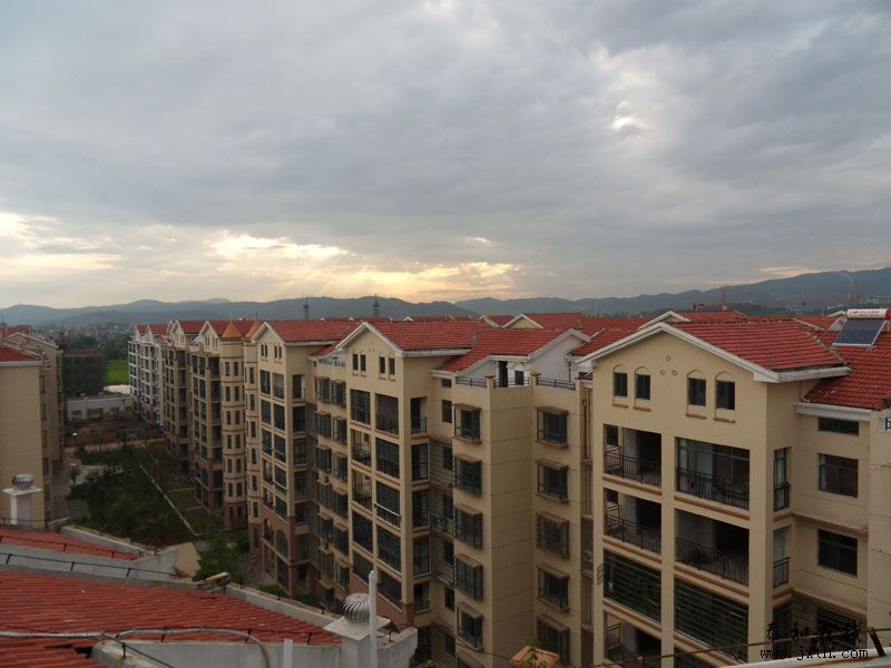 SDC12285.jpg