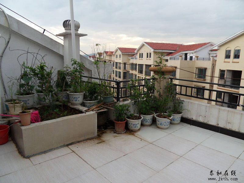 SDC12292.jpg