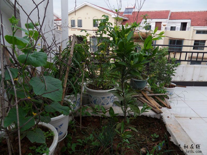 SDC12294.jpg