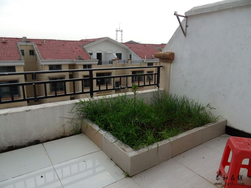 SDC12295.jpg