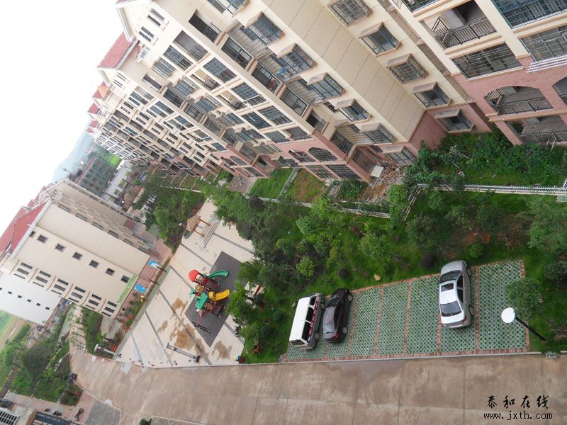 SDC12300.jpg