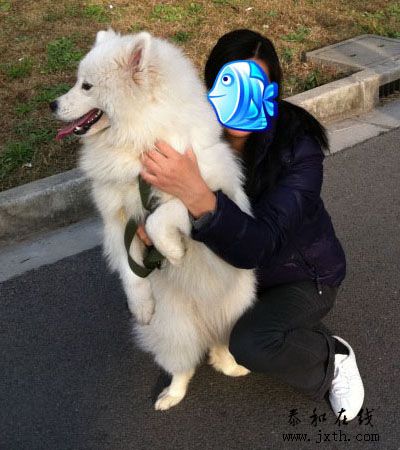 20101211(02)