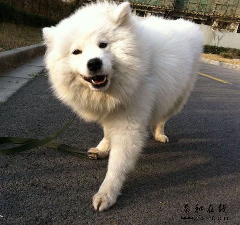 20101211(01)
