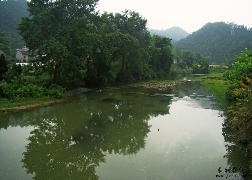 ټǴ鶺ˮ.jpg