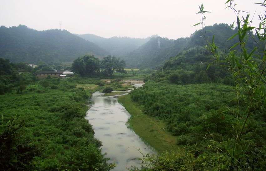 ԴԶ鶺.jpg