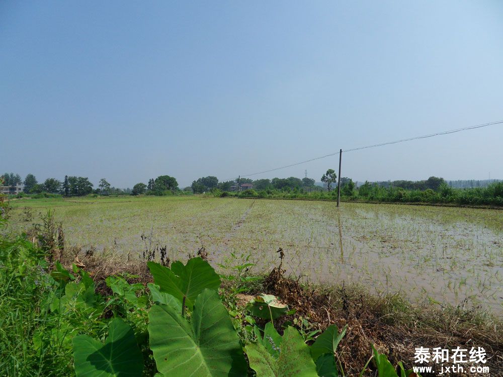 SDC12606.jpg