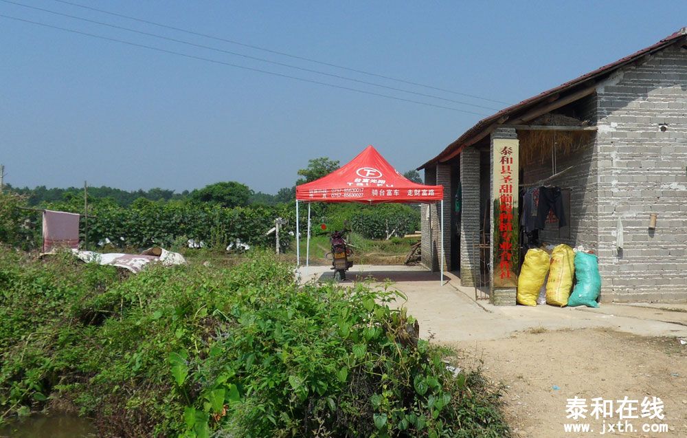 SDC12608.jpg