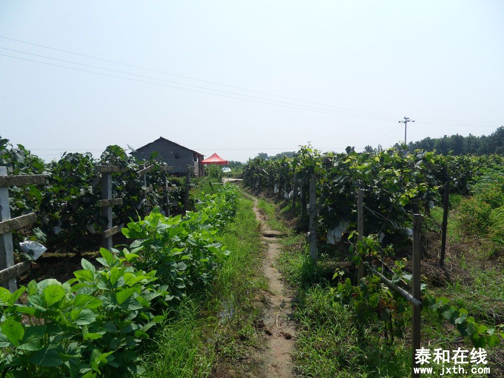SDC12609.jpg