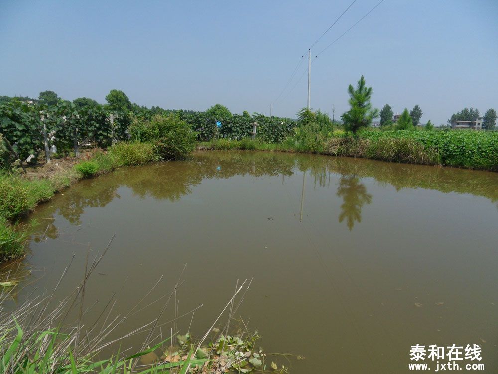 SDC12627.jpg