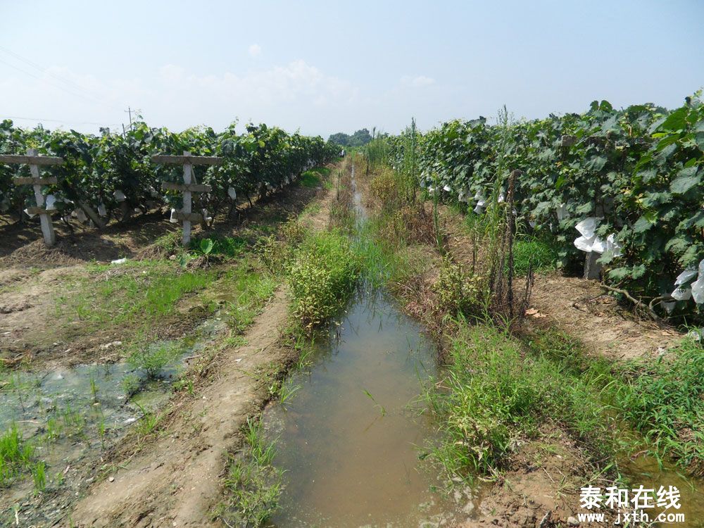 SDC12628.jpg