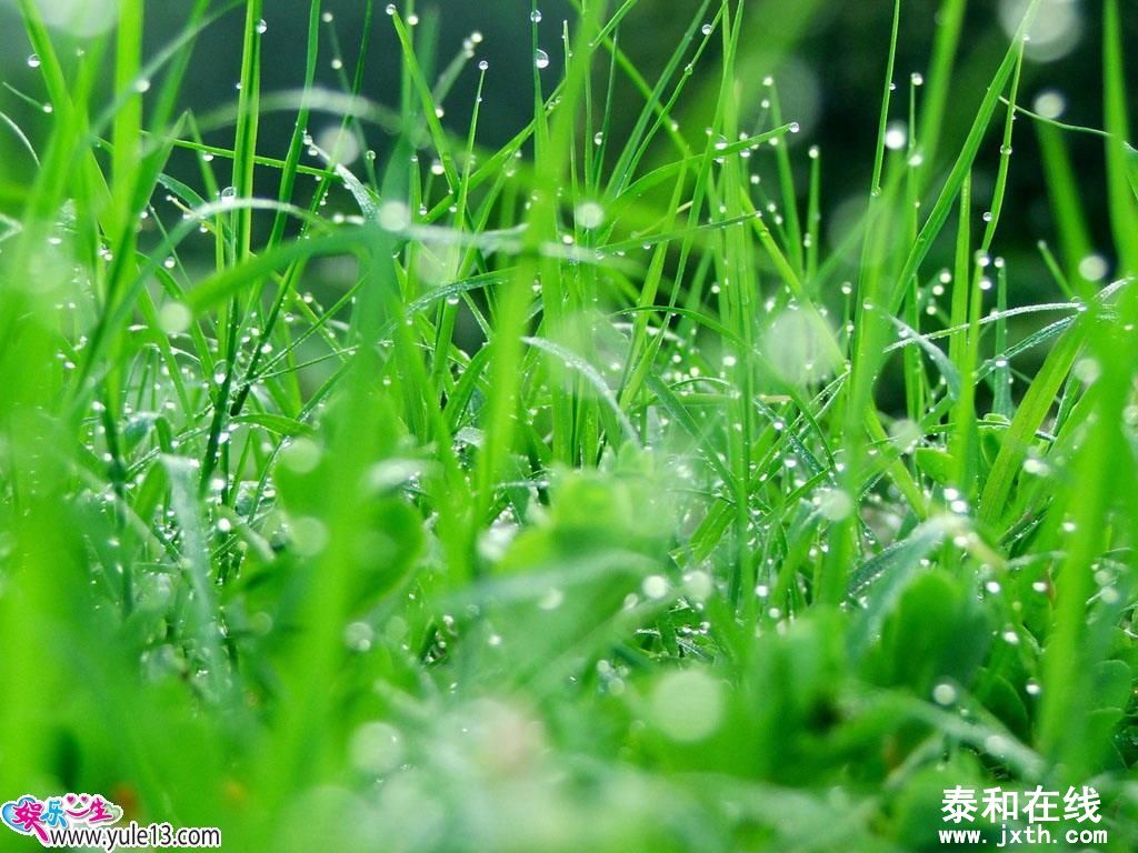 f8ef920bcb087fbe09fa9346.jpg