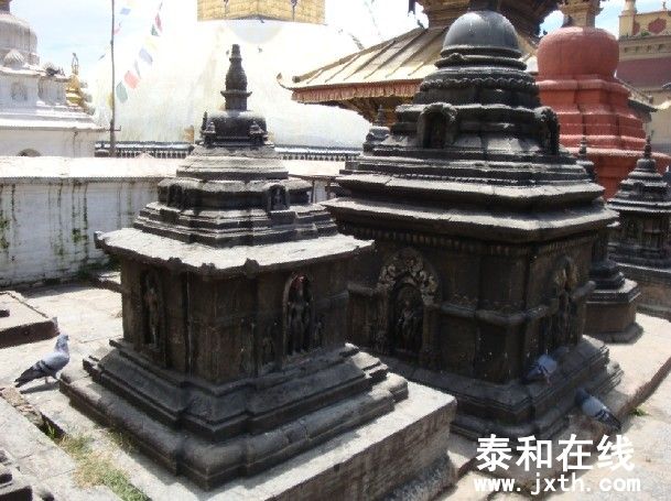 17.jpg