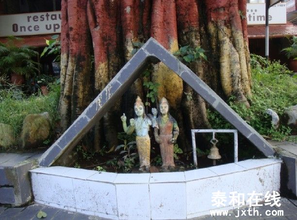 峿5.jpg