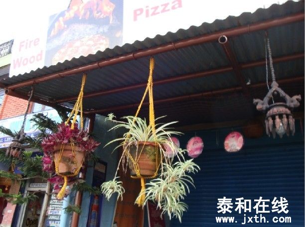 峿3.jpg