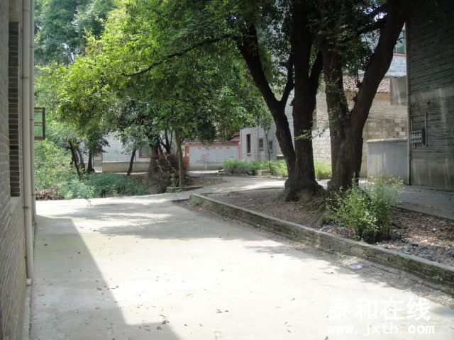 DSC06560.JPG