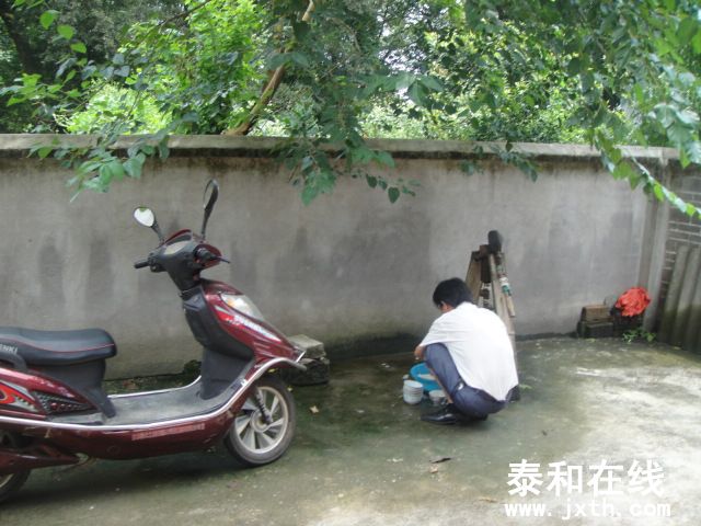 DSC06558.JPG