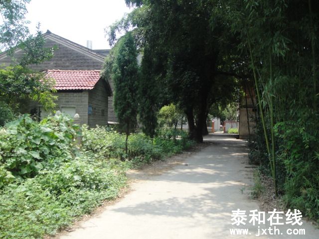 DSC06574.JPG