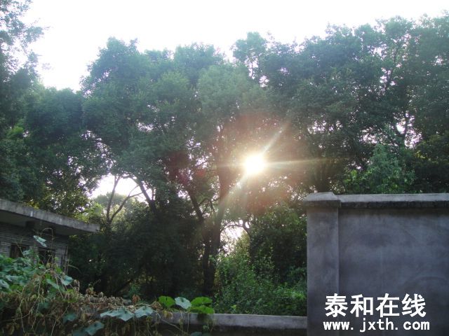 DSC06582.JPG