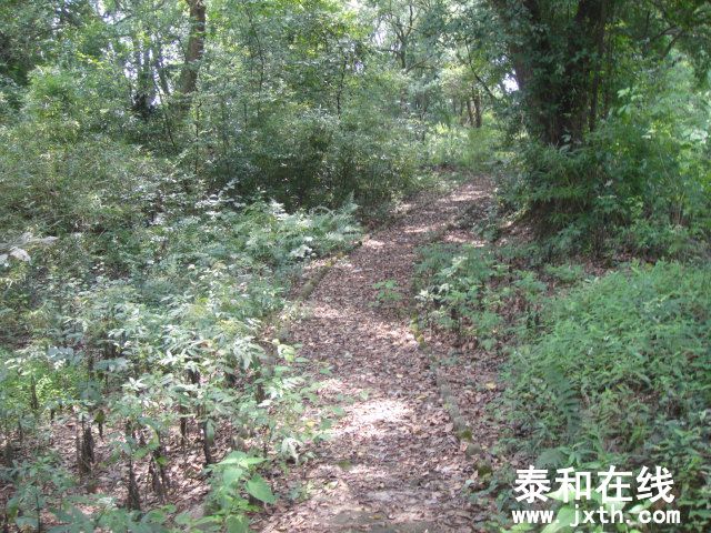 DSC06568.JPG
