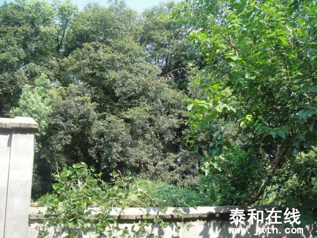 DSC06603.JPG