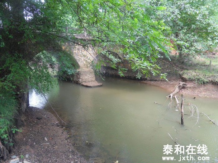 SDC13525.jpg