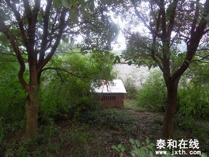 SDC13537.jpg