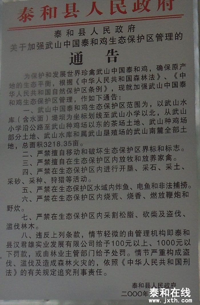 SDC13555.jpg