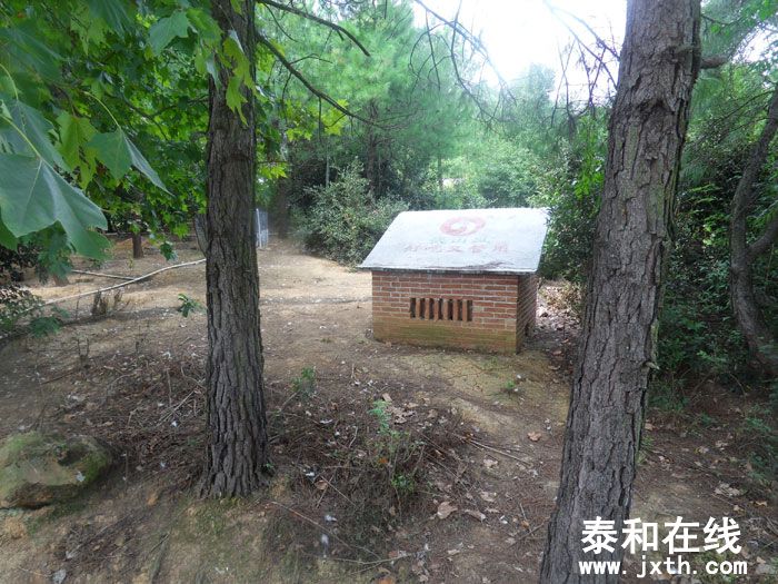 SDC13574.jpg