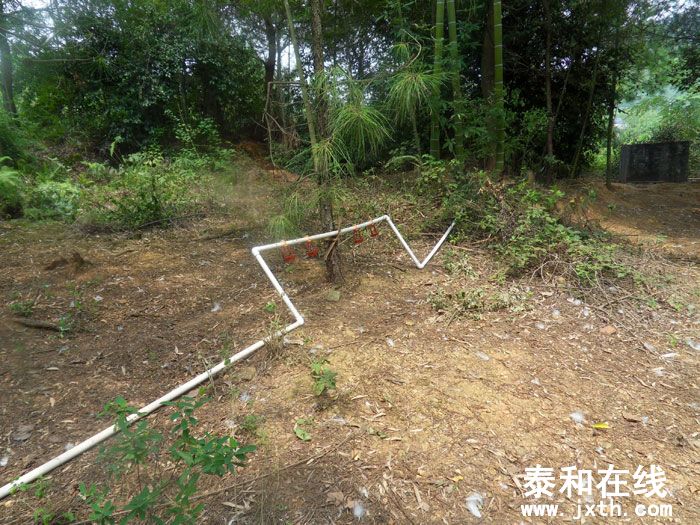 SDC13578.jpg