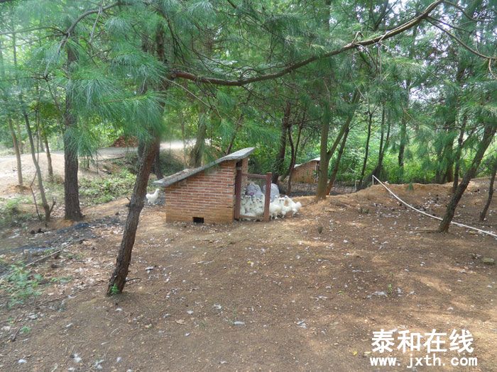 SDC13579.jpg