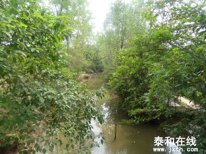 SDC13581.jpg