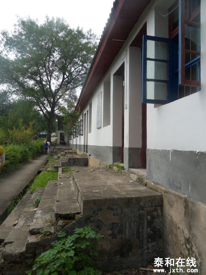 SDC13584.jpg