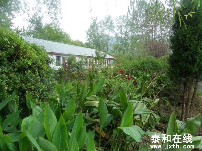 SDC13591.jpg