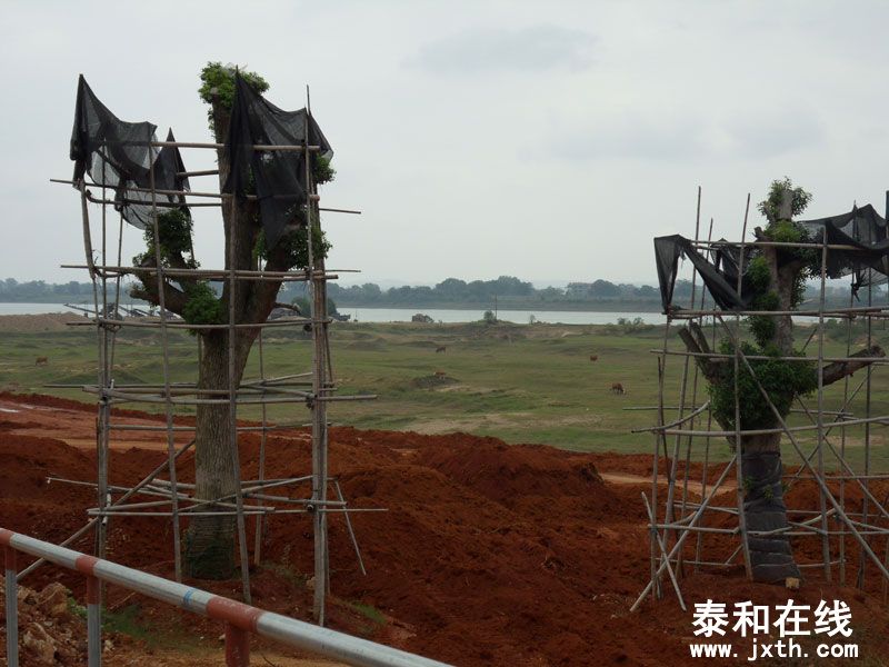 SDC14301.jpg