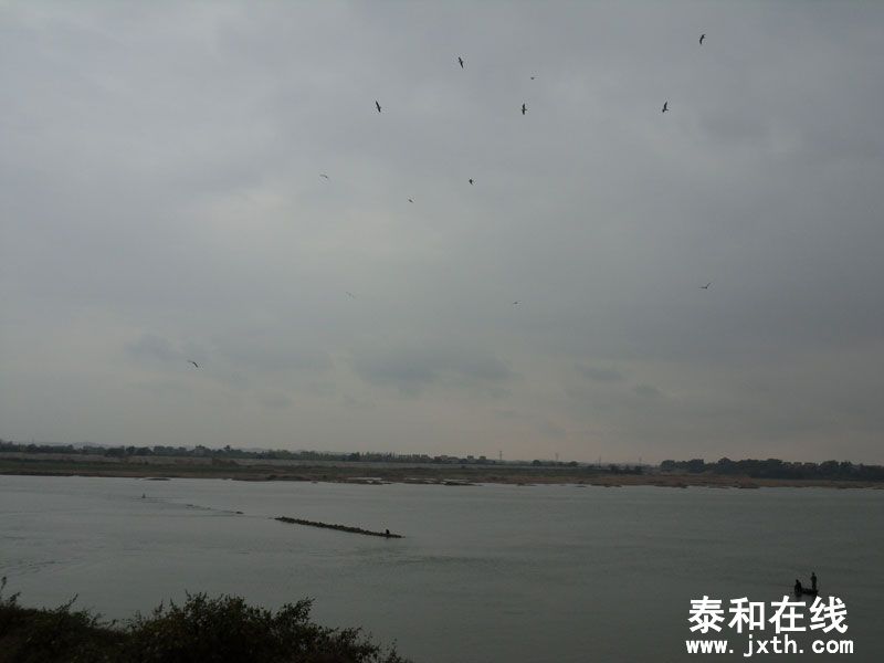 SDC14314.jpg